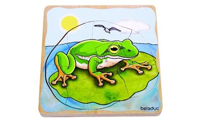 Frosch