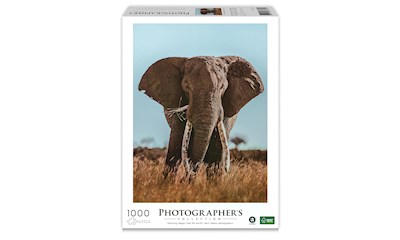 Afrikanischer Elefant (Donal Boyd)