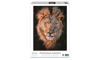 Löwenkopf (Donal Boyd)