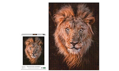 Löwenkopf (Donal Boyd)