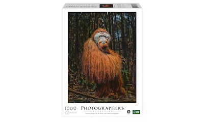 Orang-Utan  (Donal Boyd)