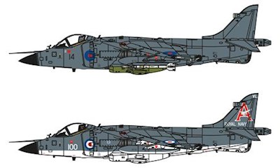 Bae Sea Harrier FRS1 1/72