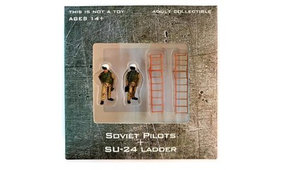 Soviet Pilots u. SU-24 Ladder