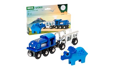 Special Edition Train (2025)