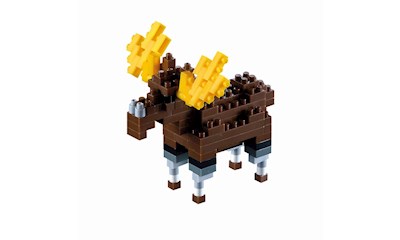 Elch / moose