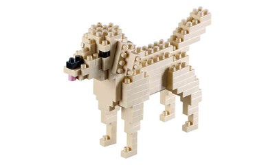 Golden Retriever / golden retriever