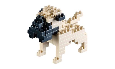 Mops / pug