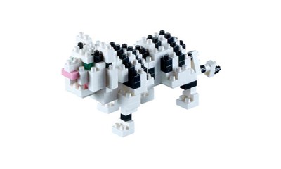 Weisser Tiger / white tiger
