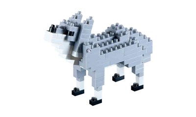 Wolf / wolf