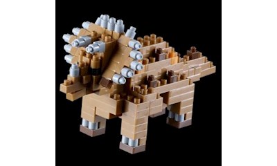Triceratops / triceratops