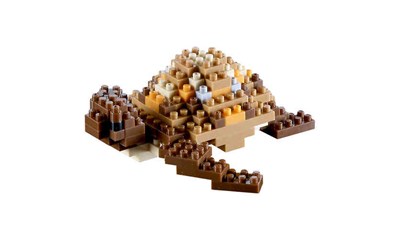 Schildkröte /Turtle