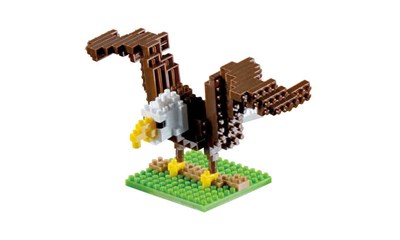 Adler / eagle