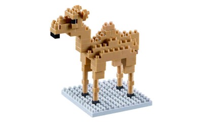 Kamel  / Camel