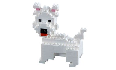 Hund / Dog