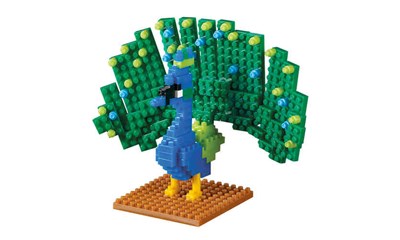 Pfau / Peacock