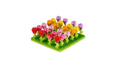 Tulpenfeld / Tulips Field