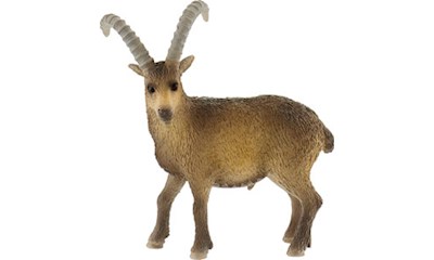 Steinbock