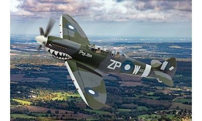 Supermarine Spitfire T.9 TE308 (G-AWGB) A58 'Grey Nurse' Sharkmouth
