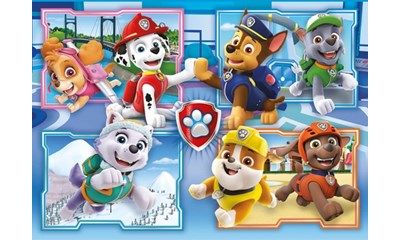 Paw Patrol verschiedene Motive