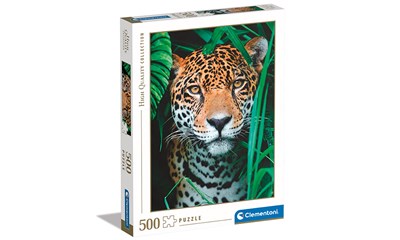Jaguar in the Jungle