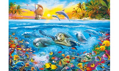 Unterwasserwelt