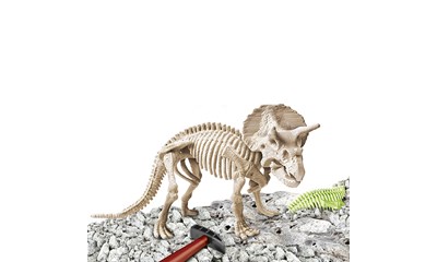 Archeo Ludic Triceratops Fluo.
