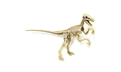 Archeo Ludic Velociraptor Fluorescence francais