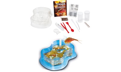 Triops Basic