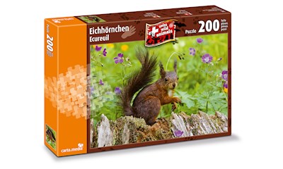 Eichhörnchen