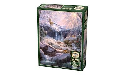 Mystic Falls im Winter