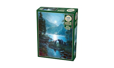 Bären im Mondschein