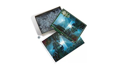 Bären im Mondschein