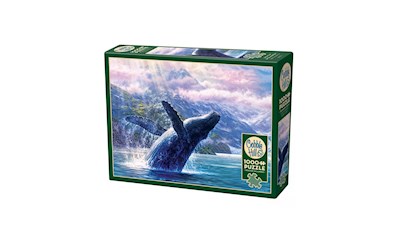 Buckelwal im Glacier Bay