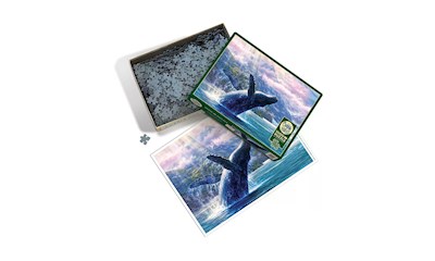 Buckelwal im Glacier Bay