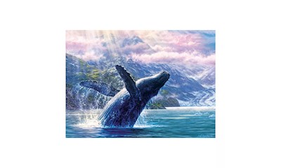 Buckelwal im Glacier Bay