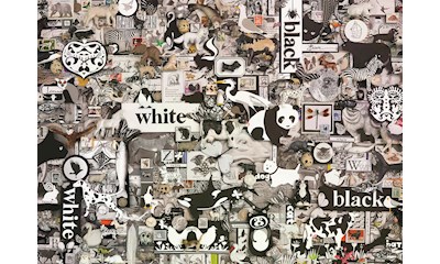 Schwarz und Weiss: Tiere