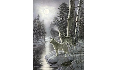 Wölfe im Mondschein