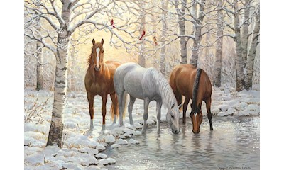 Pferde im Winterwald 