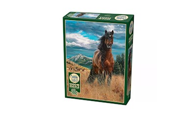 Wildpferd in Freiheit 