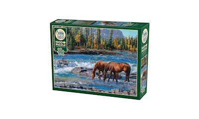 Pferde im Wildwasser 