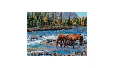 Pferde im Wildwasser 