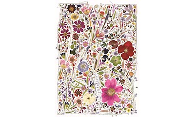 Blütenpresse: Frühling