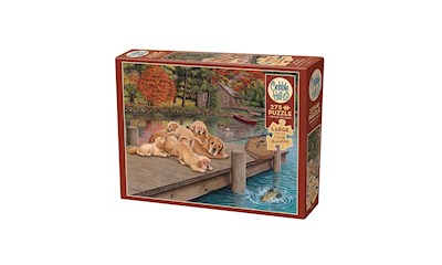 Golden Retriever am Steg