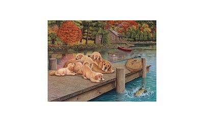 Golden Retriever am Steg