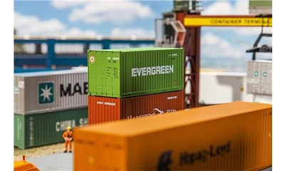 20' Container EVERGREEN