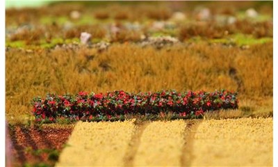 1 PREMIUM Hecke (Herbstlaub)