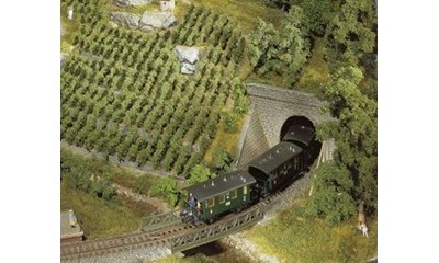 36 Reben zum Stecken