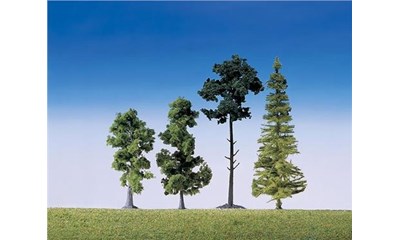 15 Mischwaldbaeume