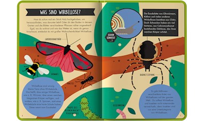 Terra Kids – Entdecke die Insekten (d) **
