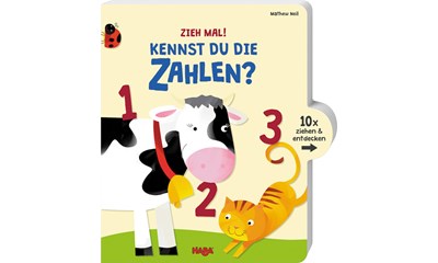 Zieh mal! Kennst du die Zahlen? (d)